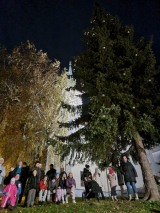 Fotogalerie Rozsvícení vánočního stromu 2023, foto č. 73