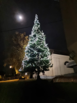 Fotogalerie Rozsvícení vánočního stromu 2023, foto č. 75