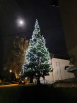 Fotogalerie Rozsvícení vánočního stromu 2023, foto č. 70