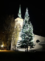 Fotogalerie Rozsvícení vánočního stromu 2023, foto č. 59