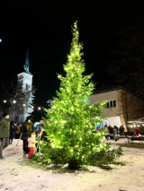Fotogalerie Rozsvícení vánočního stromu 2025, foto č. 5